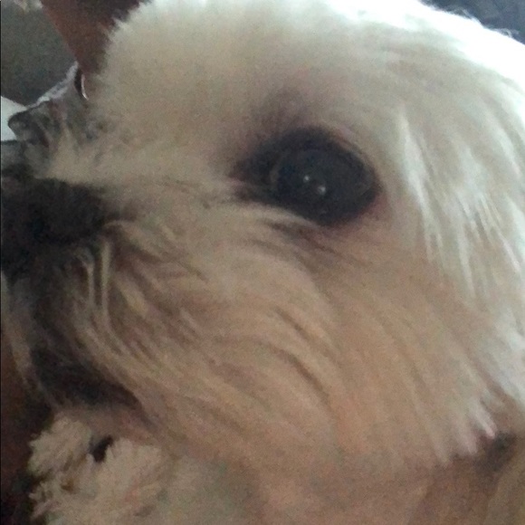 Meet your Posher, Cheryl - Picture 1 of 1